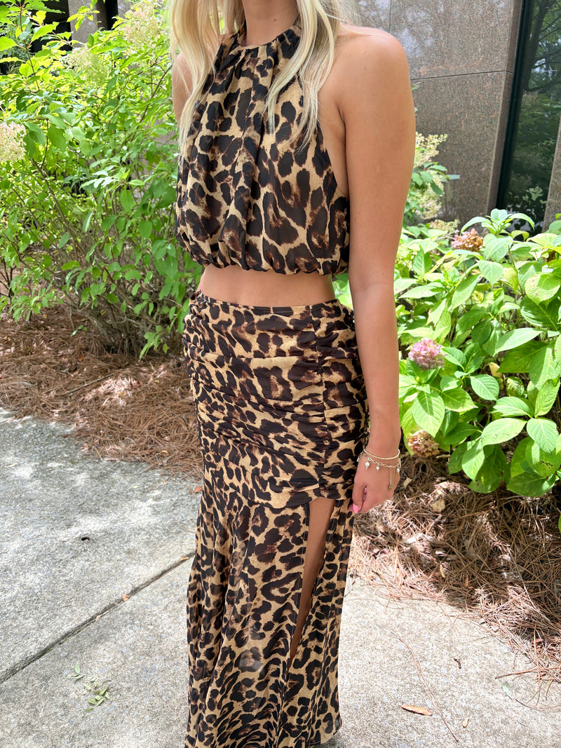 Living Leopard Set