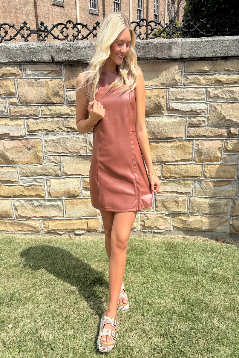 Pleasing Brown Pleather Dress