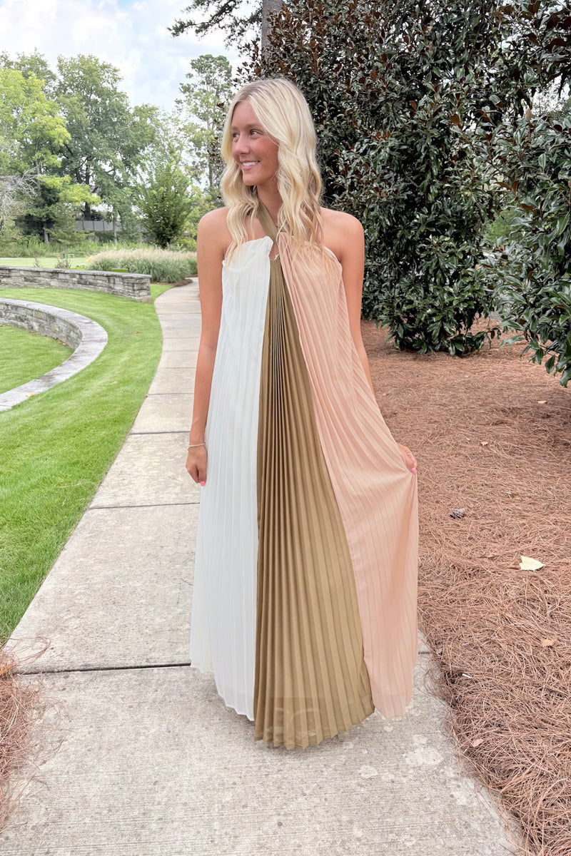 Taylor Anne Formal Maxi Dress